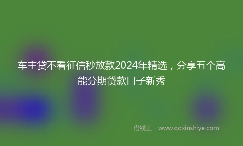 车主贷不看征信秒放款2024年精选，分享五个高能分期贷款口子新秀