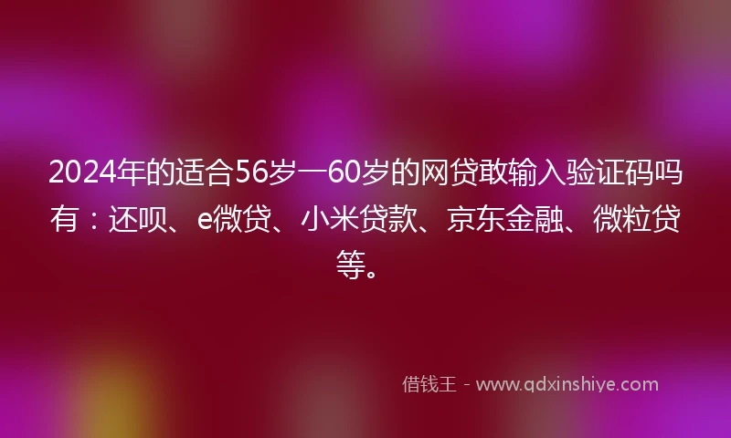 2024年的适合56岁一60岁的网贷敢输入验证码吗有：还呗、e微贷、小米贷款、京东金融、微粒贷等。