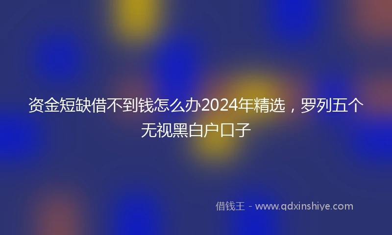 资金短缺借不到钱怎么办2024年精选,罗列五个无视黑白户口子