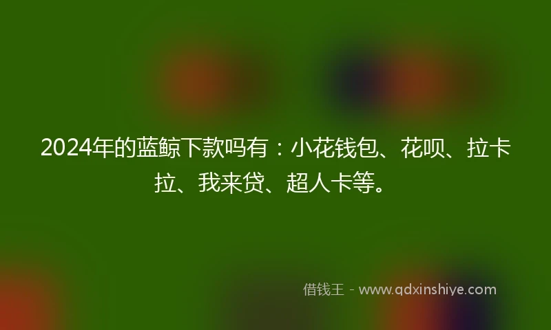2024年的蓝鲸下款吗有：小花钱包、花呗、拉卡拉、我来贷、超人卡等。