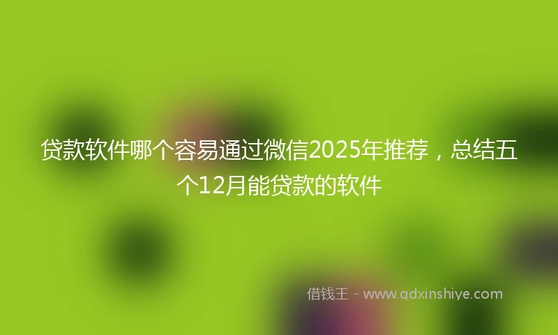 贷款软件哪个容易通过微信2025年推荐，总结五个12月能贷款的软件