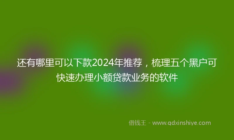还有哪里可以下款2024年推荐，梳理五个黑户可快速办理小额贷款业务的软件