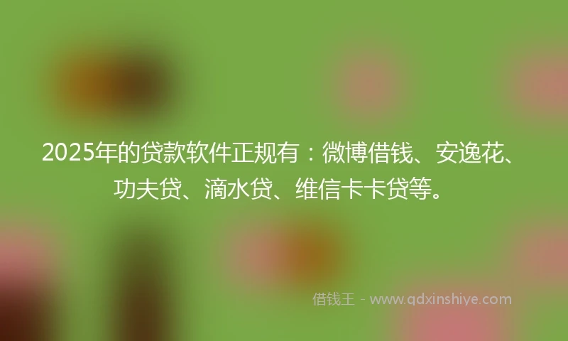 2025年的贷款软件正规有：微博借钱、安逸花、功夫贷、滴水贷、维信卡卡贷等。