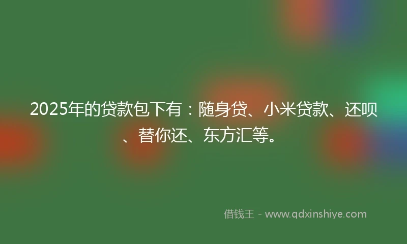 2025年的贷款包下有：随身贷、小米贷款、还呗、替你还、东方汇等。