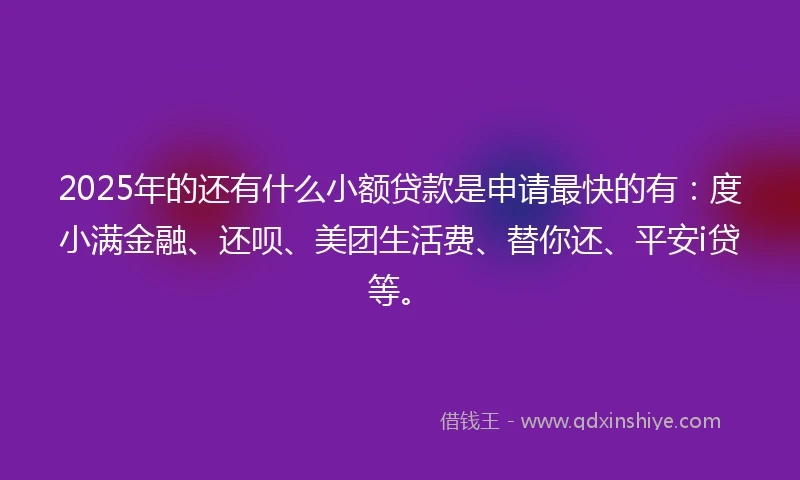 2025年的还有什么小额贷款是申请最快的有：度小满金融、还呗、美团生活费、替你还、平安i贷等。