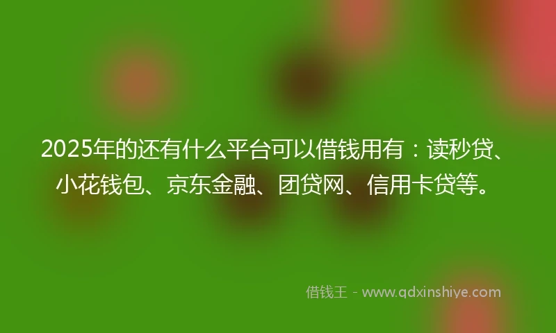2025年的还有什么平台可以借钱用有：读秒贷、小花钱包、京东金融、团贷网、信用卡贷等。
