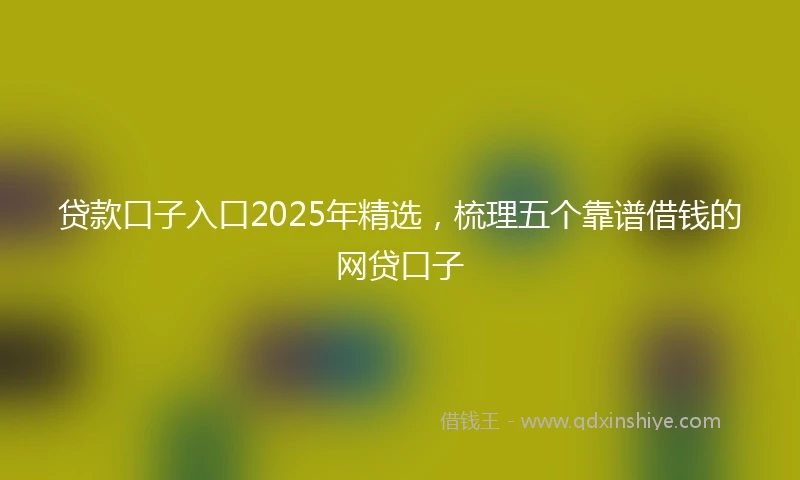 贷款口子入口2025年精选，梳理五个靠谱借钱的网贷口子