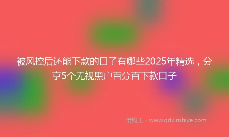被风控后还能下款的口子有哪些2025年精选，分享5个无视黑户百分百下款口子