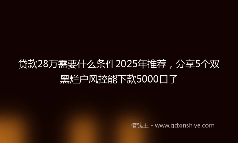 贷款28万需要什么条件2025年推荐，分享5个双黑烂户风控能下款5000口子