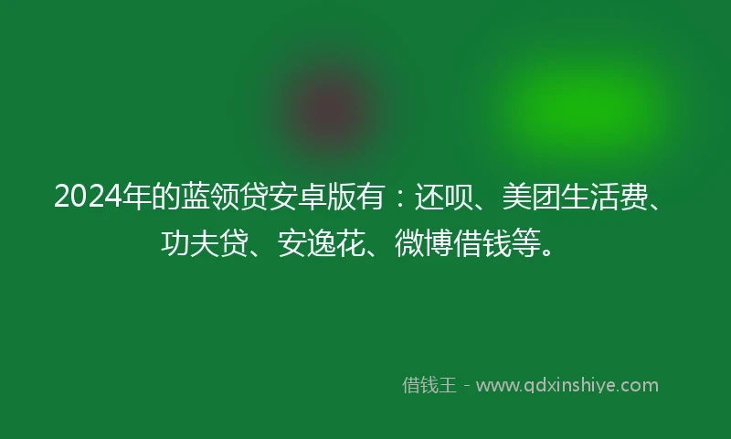 2024年的蓝领贷安卓版有：还呗、美团生活费、功夫贷、安逸花、微博借钱等。