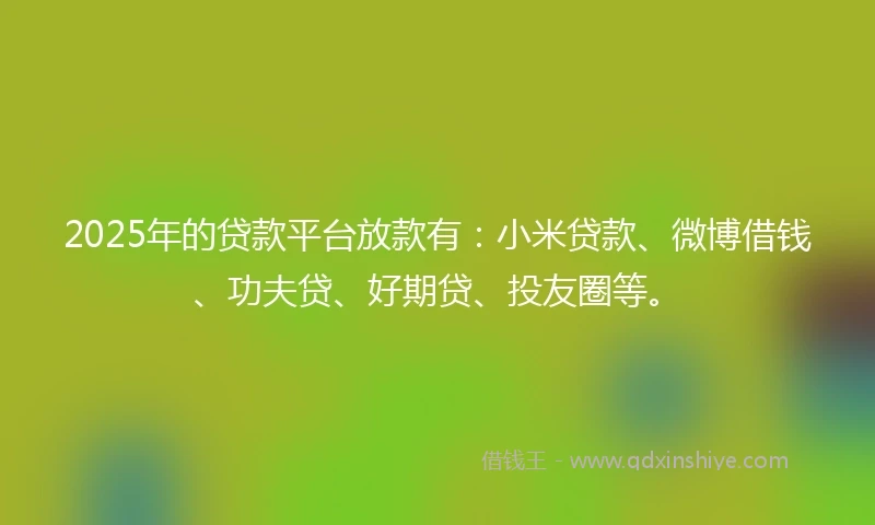 2025年的贷款平台放款有：小米贷款、微博借钱、功夫贷、好期贷、投友圈等。