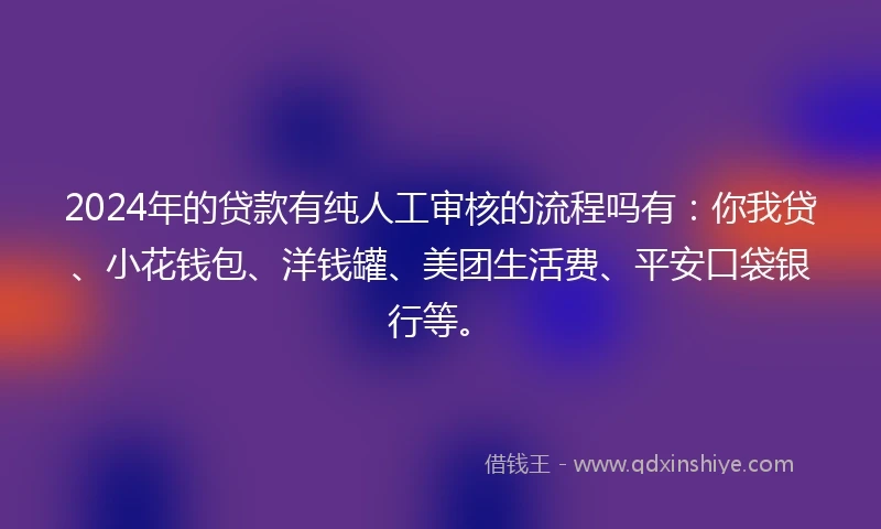 2024年的贷款有纯人工审核的流程吗有：你我贷、小花钱包、洋钱罐、美团生活费、平安口袋银行等。