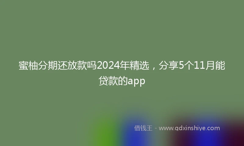 蜜柚分期还放款吗2024年精选，分享5个11月能贷款的app