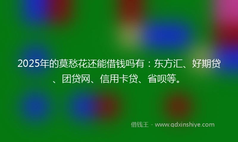 2025年的莫愁花还能借钱吗有：东方汇、好期贷、团贷网、信用卡贷、省呗等。