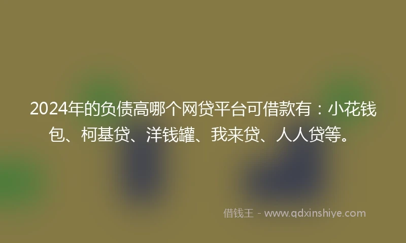 2024年的负债高哪个网贷平台可借款有：小花钱包、柯基贷、洋钱罐、我来贷、人人贷等。
