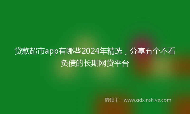 贷款超市app有哪些2024年精选，分享五个不看负债的长期网贷平台