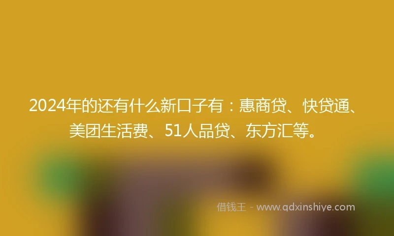 2024年的还有什么新口子有：惠商贷、快贷通、美团生活费、51人品贷、东方汇等。