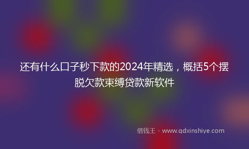 还有什么口子秒下款的2024年精选，概括5个摆脱欠款束缚贷款新软件