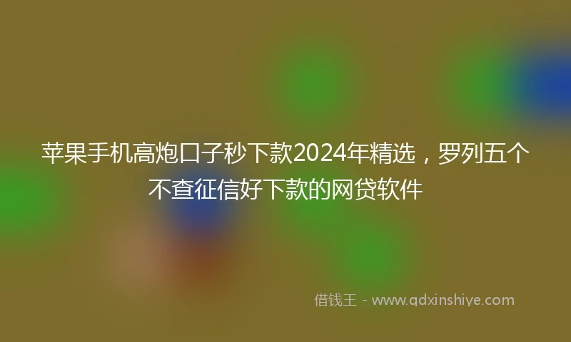 苹果手机高炮口子秒下款2024年精选，罗列五个不查征信好下款的网贷软件