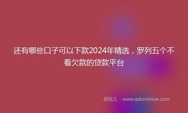 还有哪些口子可以下款2024年精选，罗列五个不看欠款的贷款平台
