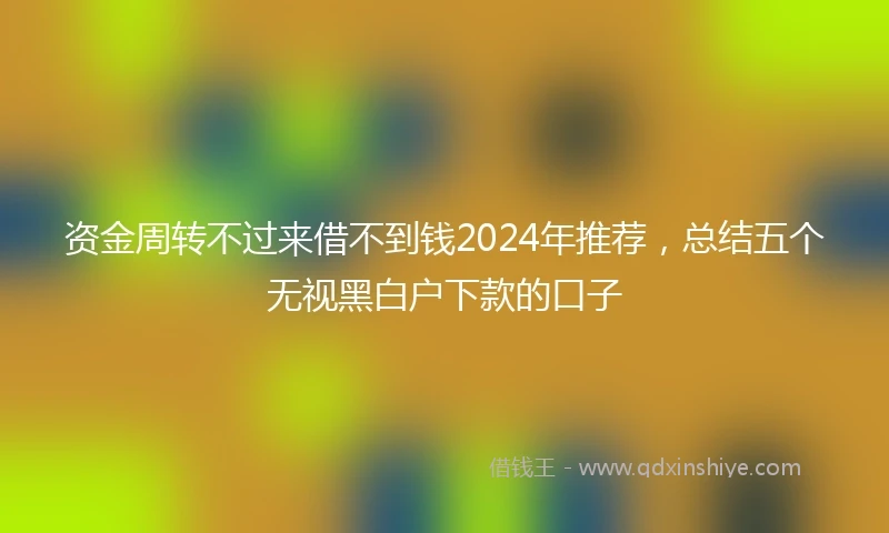 资金周转不过来借不到钱2024年推荐，总结五个无视黑白户下款的口子