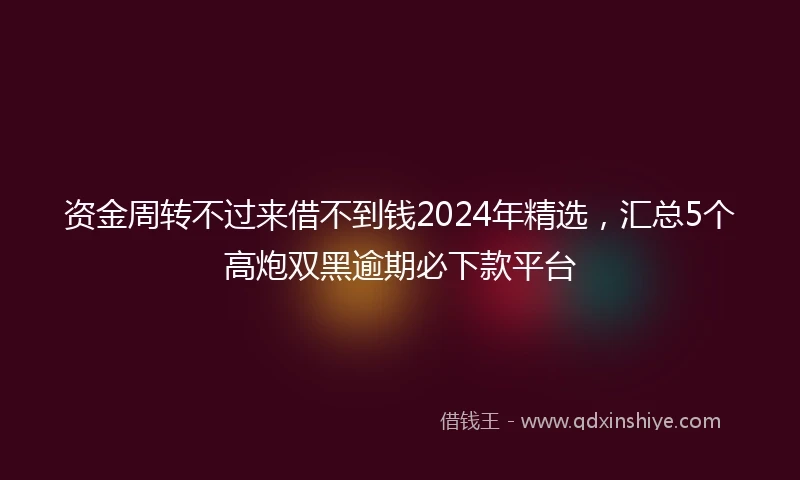 资金周转不过来借不到钱2024年精选，汇总5个高炮双黑逾期必下款平台