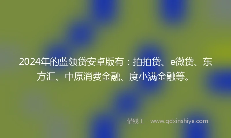 2024年的蓝领贷安卓版有：拍拍贷、e微贷、东方汇、中原消费金融、度小满金融等。