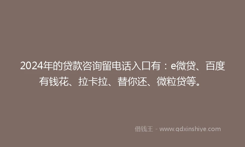 2024年的贷款咨询留电话入口有：e微贷、百度有钱花、拉卡拉、替你还、微粒贷等。