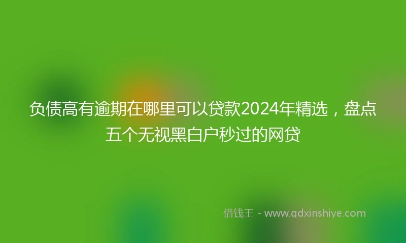 负债高有逾期在哪里可以贷款2024年精选，盘点五个无视黑白户秒过的网贷