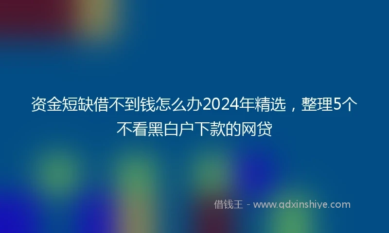 资金短缺借不到钱怎么办2024年精选，整理5个不看黑白户下款的网贷