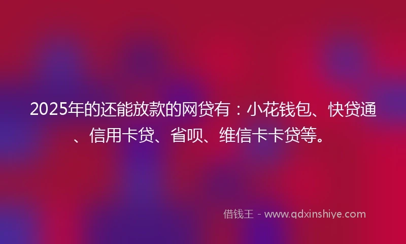 2025年的还能放款的网贷有：小花钱包、快贷通、信用卡贷、省呗、维信卡卡贷等。