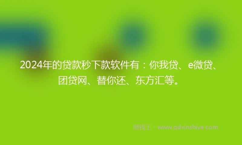 2024年的贷款秒下款软件有：你我贷、e微贷、团贷网、替你还、东方汇等。