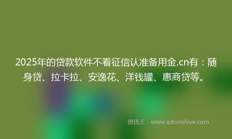 2025年的贷款软件不看征信认准备用金.cn有：随身贷、拉卡拉、安逸花、洋钱罐、惠商贷等。