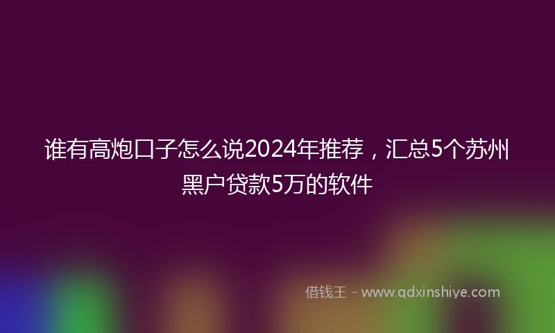 谁有高炮口子怎么说2024年推荐，汇总5个苏州黑户贷款5万的软件
