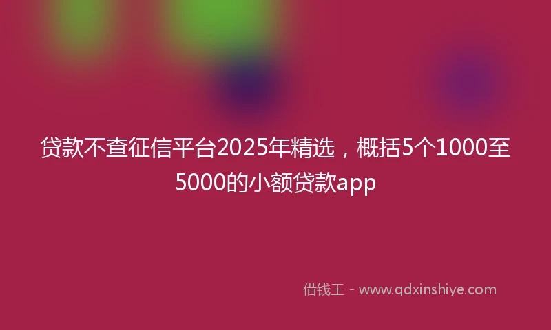 贷款不查征信平台2025年精选，概括5个1000至5000的小额贷款app
