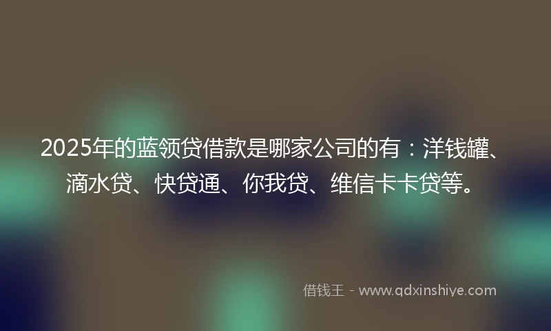 2025年的蓝领贷借款是哪家公司的有：洋钱罐、滴水贷、快贷通、你我贷、维信卡卡贷等。