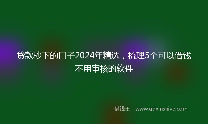 贷款秒下的口子2024年精选，梳理5个可以借钱不用审核的软件