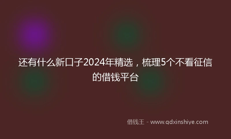 还有什么新口子2024年精选，梳理5个不看征信的借钱平台