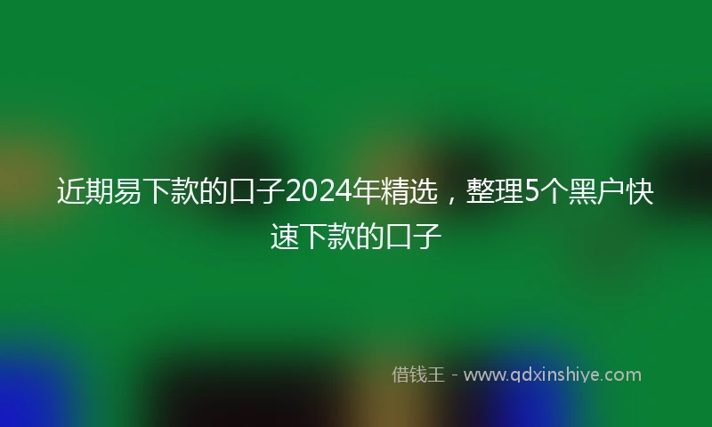 近期易下款的口子2024年精选，整理5个黑户快速下款的口子