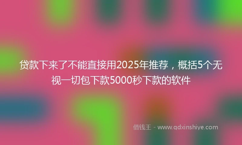 贷款下来了不能直接用2025年推荐，概括5个无视一切包下款5000秒下款的软件