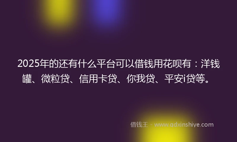 2025年的还有什么平台可以借钱用花呗有：洋钱罐、微粒贷、信用卡贷、你我贷、平安i贷等。
