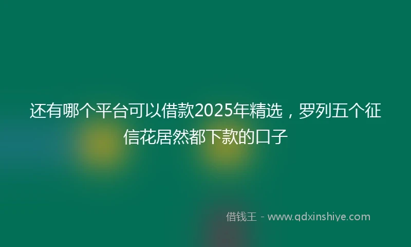 还有哪个平台可以借款2025年精选，罗列五个征信花居然都下款的口子