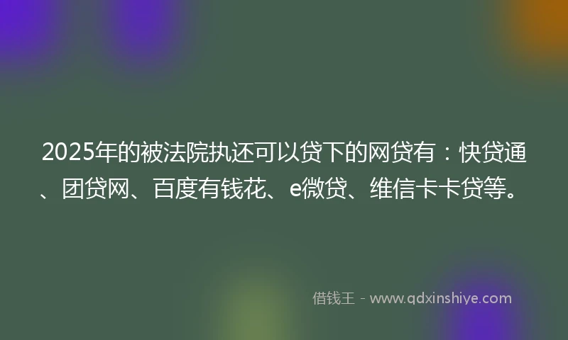 2025年的被法院执还可以贷下的网贷有：快贷通、团贷网、百度有钱花、e微贷、维信卡卡贷等。