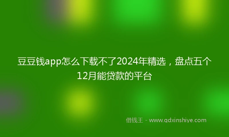 豆豆钱app怎么下载不了2024年精选，盘点五个12月能贷款的平台