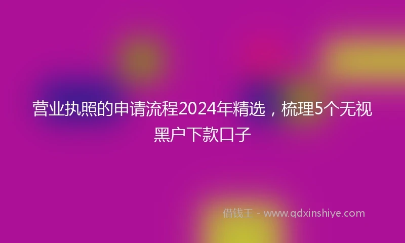营业执照的申请流程2024年精选，梳理5个无视黑户下款口子