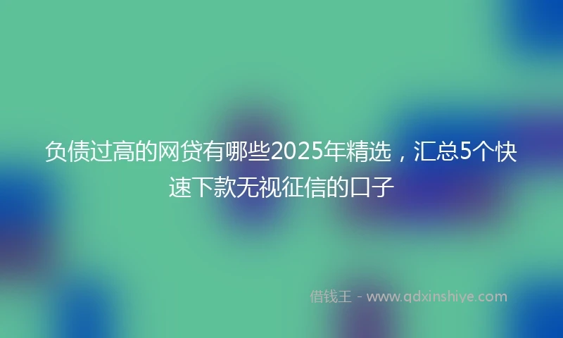 负债过高的网贷有哪些2025年精选，汇总5个快速下款无视征信的口子