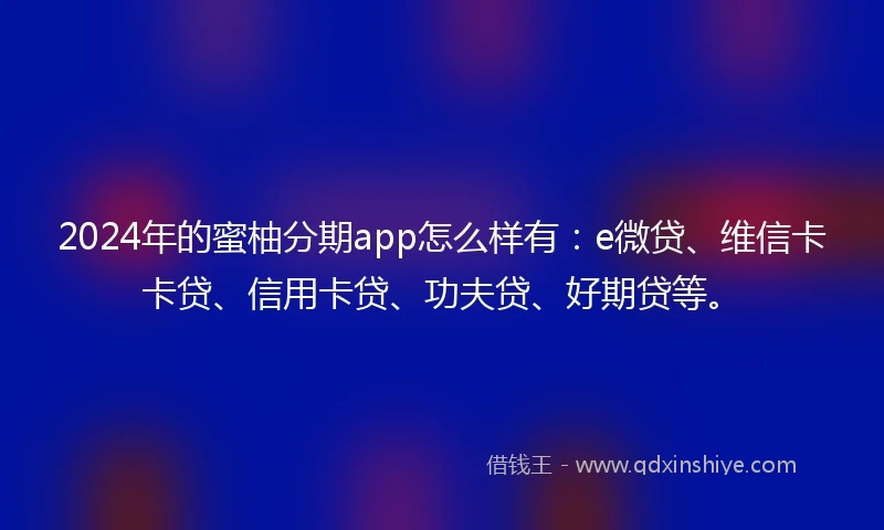2024年的蜜柚分期app怎么样有：e微贷、维信卡卡贷、信用卡贷、功夫贷、好期贷等。