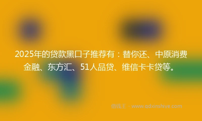 2025年的贷款黑口子推荐有：替你还、中原消费金融、东方汇、51人品贷、维信卡卡贷等。