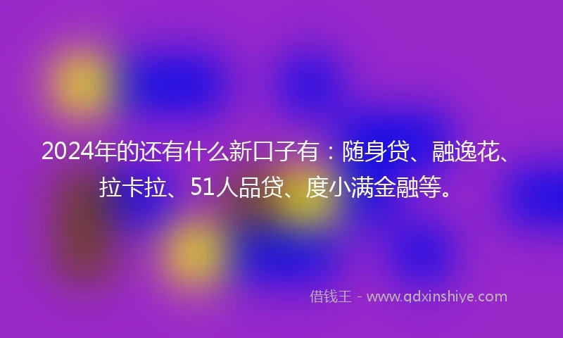 2024年的还有什么新口子有：随身贷、融逸花、拉卡拉、51人品贷、度小满金融等。