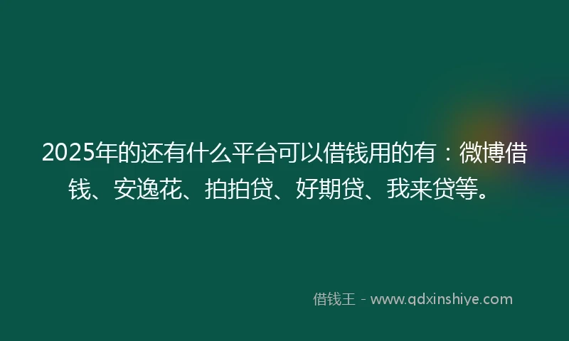 2025年的还有什么平台可以借钱用的有：微博借钱、安逸花、拍拍贷、好期贷、我来贷等。
